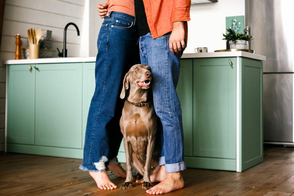 pet friendly kitchen