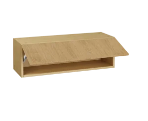 900 Top Box (290 High)