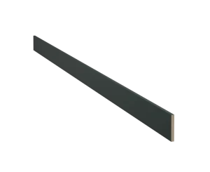 Plinth/Kickboard