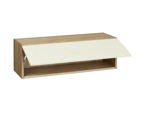 900 Top Box (290 High)